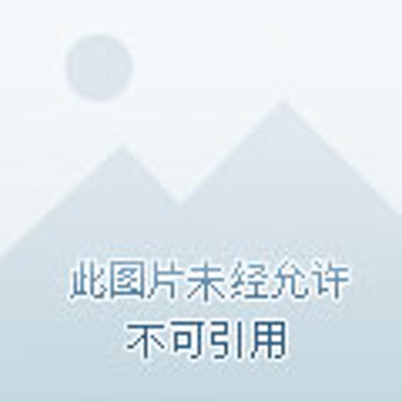 构建城市安全网:消火栓安装的重要性与实践探索